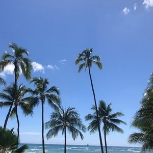 Meet your Posher, Audrey